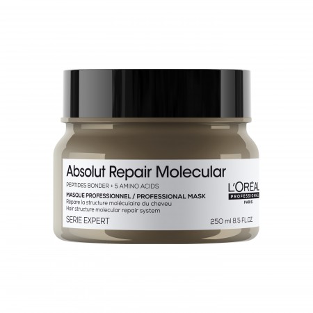 L'Oreal Serie Expert Absolut Repair Molecular  Mask 250ml