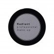 PROFESSIONAL EYE COLOR 4g - 294 Grey Matte