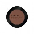 PROFESSIONAL EYE COLOR 4g - 303 Chocolate Matte