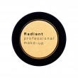 RADIANT Eye Color Metallic 4g- 07 Sun