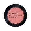 RADIANT Eye Color Metallic 4g- 17 Peach