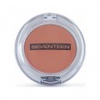 Natural Matte Silky Blusher 5g - 09 Apple Cider