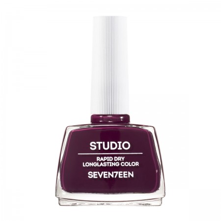 Studio Rapid Dry Lasting Color 12ml -   289