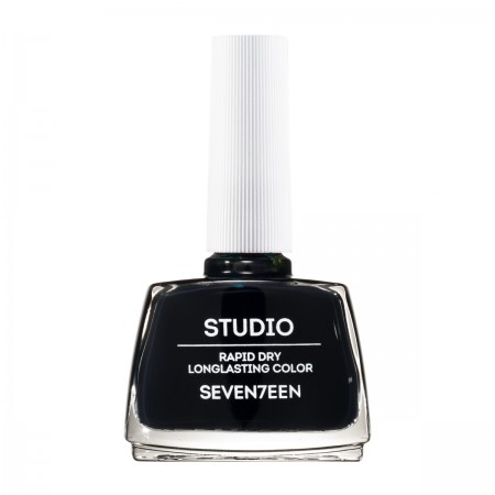 Studio Rapid Dry Lasting Color 12ml -   290