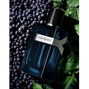 Y Eau De Parfum Intense 